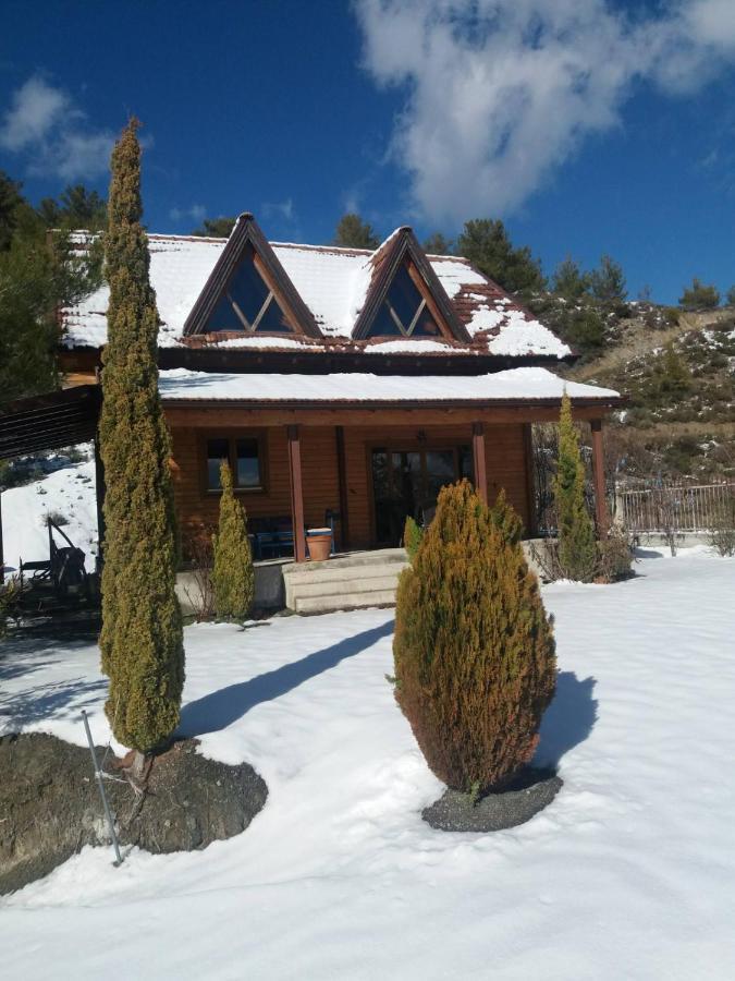 Villa Agros Timber Log House Exterior foto